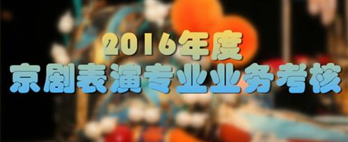 干丰满妇国家京剧院2016年度京剧表演专业业务考...